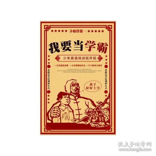 アイビー女子大学 Electronic Engineering Degree Certificate